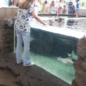 Meet your Posher, Suzanne